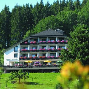 Pfeifles Hoehenhotel